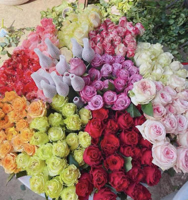 揭開“厄爾多瓜黑玫瑰”的真相 染色玫瑰的營銷騙局