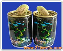 09年禮品花卉銷售 金融危機下的創業投資好項目